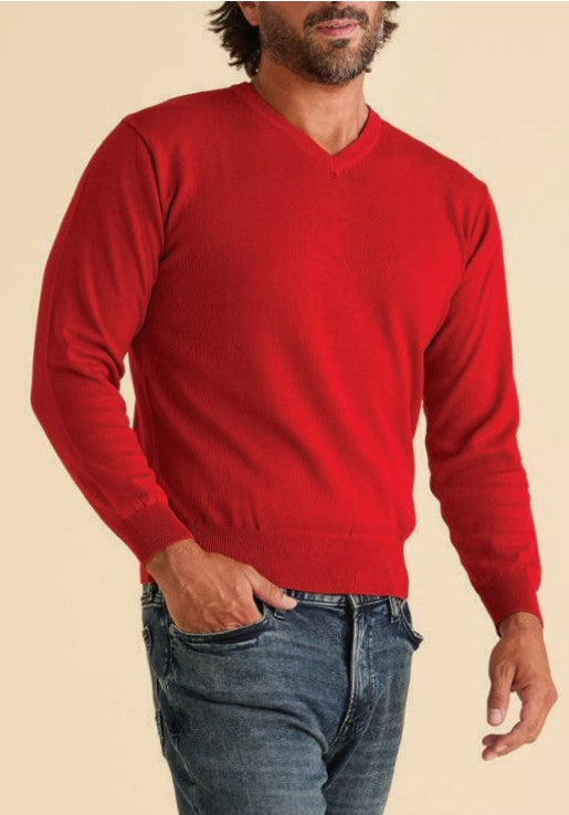 Men’s Cotton-Acrylic Blend V-Neck Long-Sleeve Sweater – Regular Fit